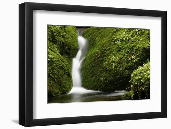 Rocks, Moss, Brook Nature, Moss-Grows Over, Forest Brook, Forest, Rock, Mossy, Water, Habitat-Ronald Wittek-Framed Photographic Print