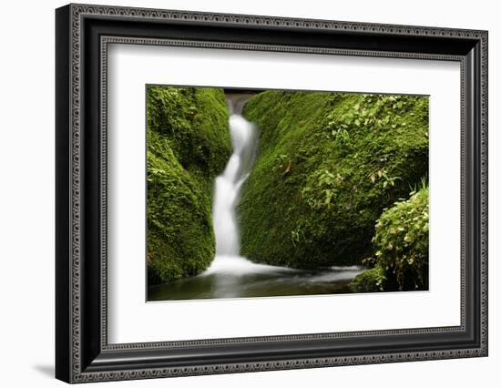 Rocks, Moss, Brook Nature, Moss-Grows Over, Forest Brook, Forest, Rock, Mossy, Water, Habitat-Ronald Wittek-Framed Photographic Print