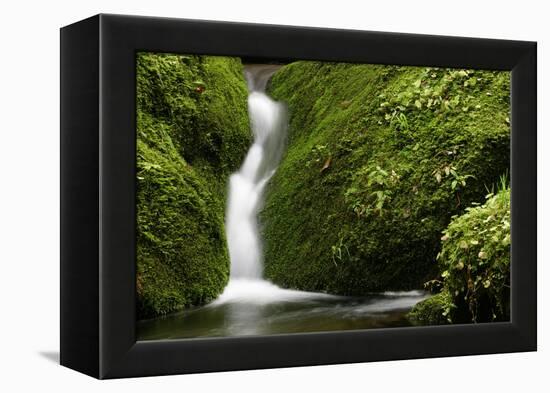 Rocks, Moss, Brook Nature, Moss-Grows Over, Forest Brook, Forest, Rock, Mossy, Water, Habitat-Ronald Wittek-Framed Premier Image Canvas