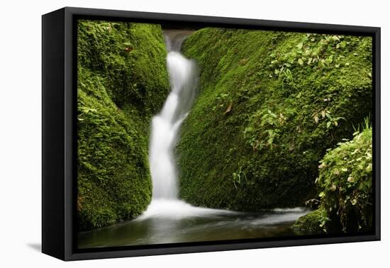 Rocks, Moss, Brook Nature, Moss-Grows Over, Forest Brook, Forest, Rock, Mossy, Water, Habitat-Ronald Wittek-Framed Premier Image Canvas