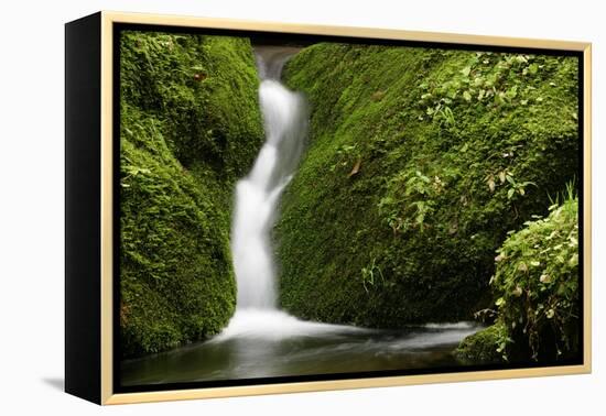 Rocks, Moss, Brook Nature, Moss-Grows Over, Forest Brook, Forest, Rock, Mossy, Water, Habitat-Ronald Wittek-Framed Premier Image Canvas