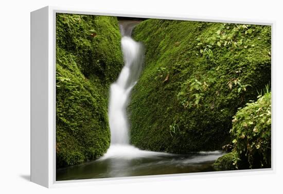 Rocks, Moss, Brook Nature, Moss-Grows Over, Forest Brook, Forest, Rock, Mossy, Water, Habitat-Ronald Wittek-Framed Premier Image Canvas