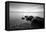 Rocks on Beach-PhotoINC-Framed Premier Image Canvas