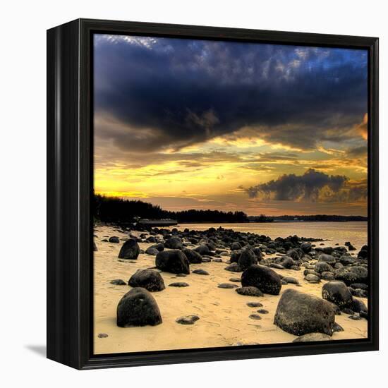 Rocks on Beach-null-Framed Premier Image Canvas