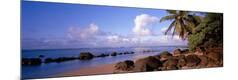 Photographic Print