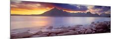 Photographic Print