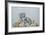 Rocks - Still Life-Kevork Cholakian-Framed Art Print