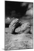 Rocks, the Burren, County Clare, Ireland-Simon Marsden-Mounted Giclee Print