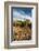 Rocks Vineyard, Washington, USA-Richard Duval-Framed Photographic Print