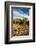 Rocks Vineyard, Washington, USA-Richard Duval-Framed Photographic Print