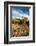 Rocks Vineyard, Washington, USA-Richard Duval-Framed Photographic Print