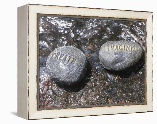 Rocks with the Words Imagine and Create in Water-null-Framed Premier Image Canvas