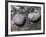 Rocks with the Words Imagine and Create in Water-null-Framed Photographic Print