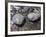 Rocks with the Words Imagine and Create in Water-null-Framed Photographic Print