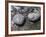 Rocks with the Words Imagine and Create in Water-null-Framed Photographic Print