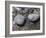 Rocks with the Words Imagine and Create in Water-null-Framed Photographic Print