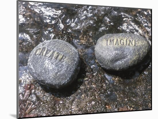 Rocks with the Words Imagine and Create in Water-null-Mounted Photographic Print
