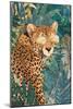 Rockstar cheetah in the jungle-Sarah Manovski-Mounted Giclee Print