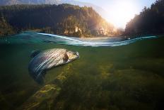 Fishing. Close-Up Shut of a Fish Hook under Water-Rocksweeper-Framed Premier Image Canvas