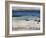 Rocky Beach-Tim O'toole-Framed Giclee Print