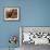 Rocky Bighorn-Steve Hunziker-Framed Art Print displayed on a wall