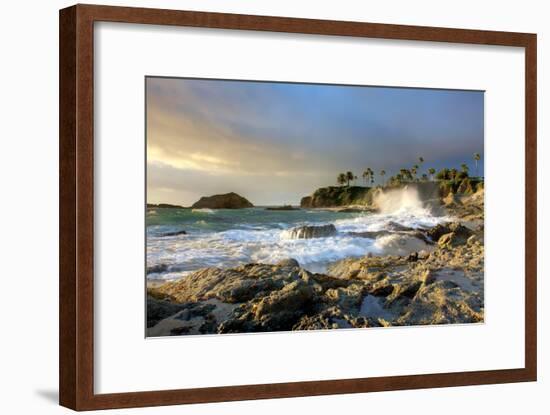 Rocky Coast and Palms-Lantern Press-Framed Art Print