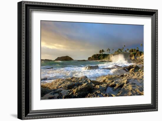 Rocky Coast and Palms-Lantern Press-Framed Art Print