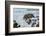 Rocky Coast Ocean Surf Waves-dplett-Framed Photographic Print