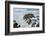 Rocky Coast Ocean Surf Waves-dplett-Framed Photographic Print