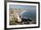 Rocky Coastal Overview, Pismo Beach, California, USA-Cindy Miller Hopkins-Framed Photographic Print