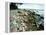 Rocky Coastline and Rainbow, Jasmund National Park, Island of Ruegen, Germany-Christian Ziegler-Framed Premier Image Canvas