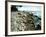 Rocky Coastline and Rainbow, Jasmund National Park, Island of Ruegen, Germany-Christian Ziegler-Framed Photographic Print