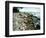 Rocky Coastline and Rainbow, Jasmund National Park, Island of Ruegen, Germany-Christian Ziegler-Framed Photographic Print