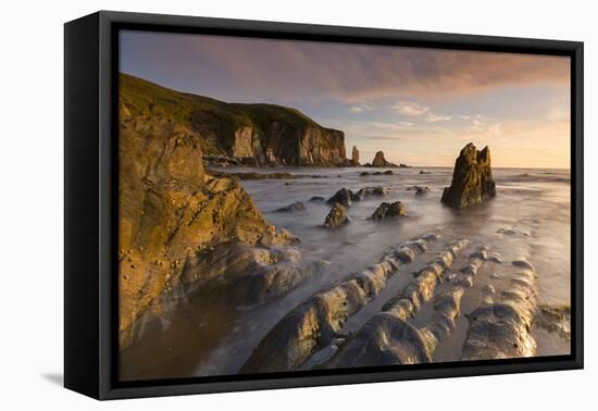 Rocky cove in golden evening light, Bantham Beach, South Hams, Devon, UK.-Adam Burton-Framed Premier Image Canvas