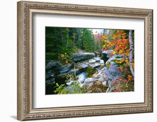 Rocky Creek During Fall White Mountains-George Oze-Framed Photographic Print