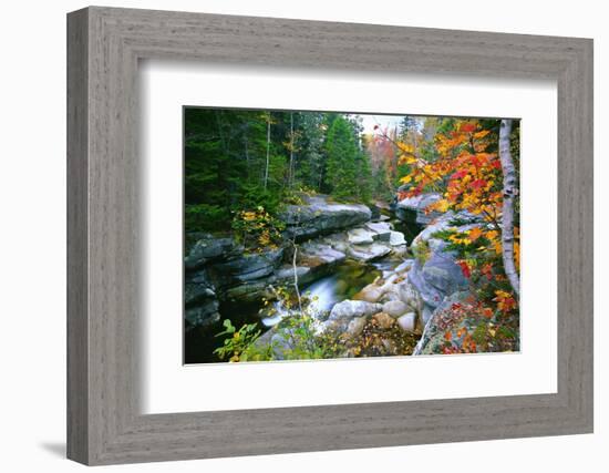 Rocky Creek During Fall White Mountains-George Oze-Framed Photographic Print