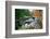 Rocky Creek During Fall White Mountains-George Oze-Framed Photographic Print