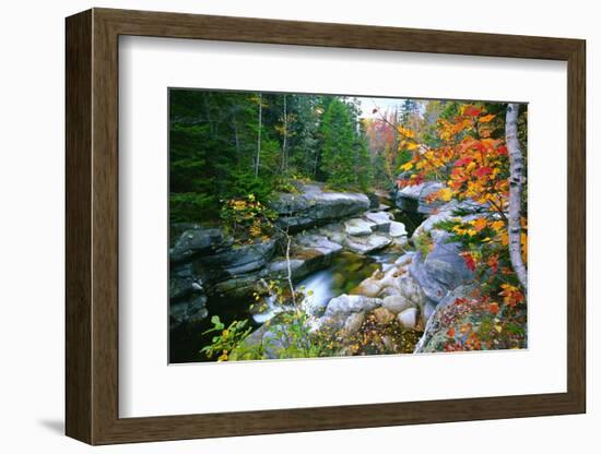 Rocky Creek During Fall White Mountains-George Oze-Framed Photographic Print