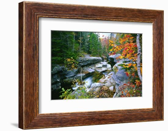 Rocky Creek During Fall White Mountains-George Oze-Framed Photographic Print