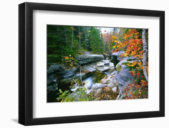 Rocky Creek During Fall White Mountains-George Oze-Framed Photographic Print