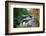 Rocky Creek During Fall White Mountains-George Oze-Framed Photographic Print