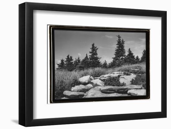 Rocky Green-Laura Denardo-Framed Photographic Print