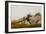 Rocky Landscape-John Frederick Kensett-Framed Giclee Print