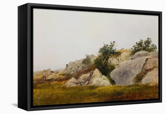 Rocky Landscape-John Frederick Kensett-Framed Premier Image Canvas