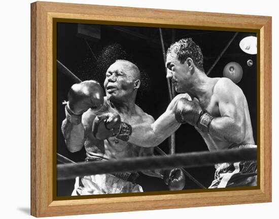 Rocky Marciano Landing a Punch on Jersey Joe Walcott, Sept. 23, 1952-null-Framed Stretched Canvas