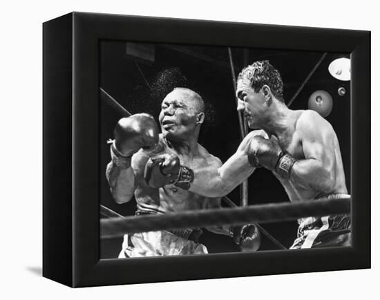 Rocky Marciano Landing a Punch on Jersey Joe Walcott, Sept. 23, 1952-null-Framed Stretched Canvas