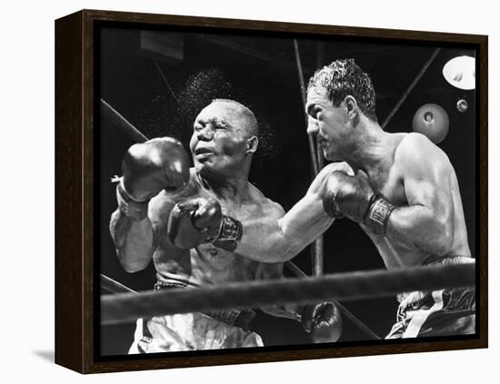 Rocky Marciano Landing a Punch on Jersey Joe Walcott, Sept. 23, 1952-null-Framed Stretched Canvas