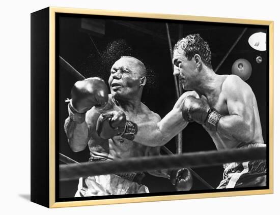 Rocky Marciano Landing a Punch on Jersey Joe Walcott, Sept. 23, 1952-null-Framed Stretched Canvas