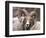 Rocky Mountain Bighorn Sheep Near Radium, B.C-Richard Wright-Framed Photographic Print