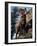 Rocky Mountain Bighorn Sheep on Side of Mountain, Yellowstone National Park, USA-Carol Polich-Framed Photographic Print